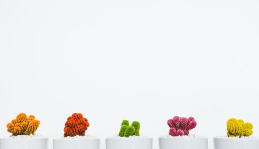 余白を大切にする生き方【現代は忙しすぎる。常に片手は空けとかなければいけない】