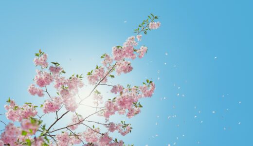 【キャンプを始めようとしている人必見】キャンプを始めるのに一番最適な時期とは