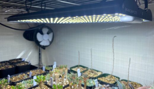【アガベ・パキポディウムを大量に管理出来るのはパネル】おすすめのパネル式植物育成ライト3選