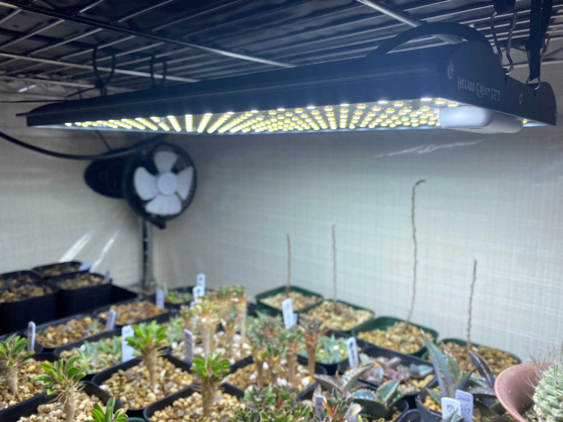 HG800 LED植物育成ライト 植物育成用ledライト　アガベ　チタノタ HG800 LED植物育成ライト 植物育成用ledライトアガベチタノタ